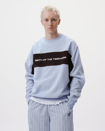 Paneled Crewneck