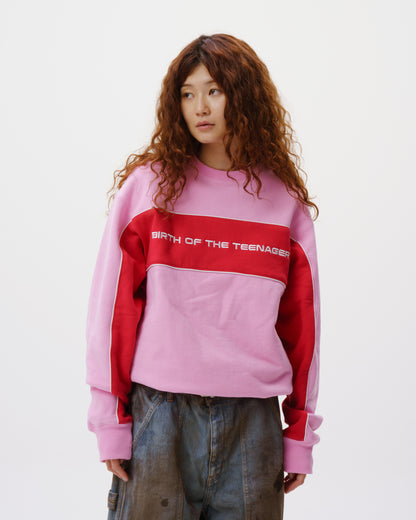 Paneled Crewneck
