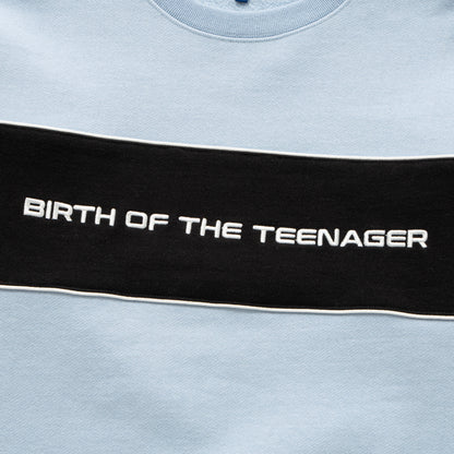 Paneled Crewneck