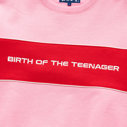 Paneled Crewneck
